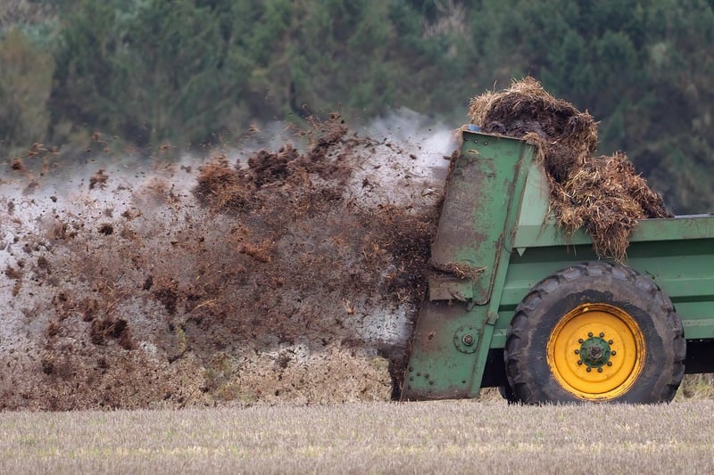 Natural Fertilizers